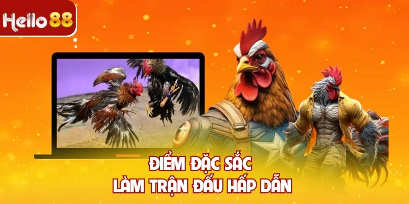 Điểm đặc sắc làm trận đấu hấp dẫn