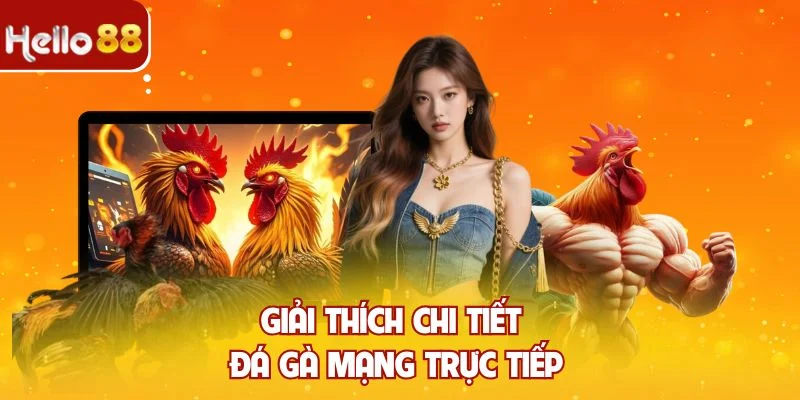 Giải thích chi tiết đá gà mạng trực tiếp