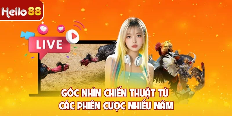 Góc nhìn chiến thuật từ các phiên cược nhiều năm