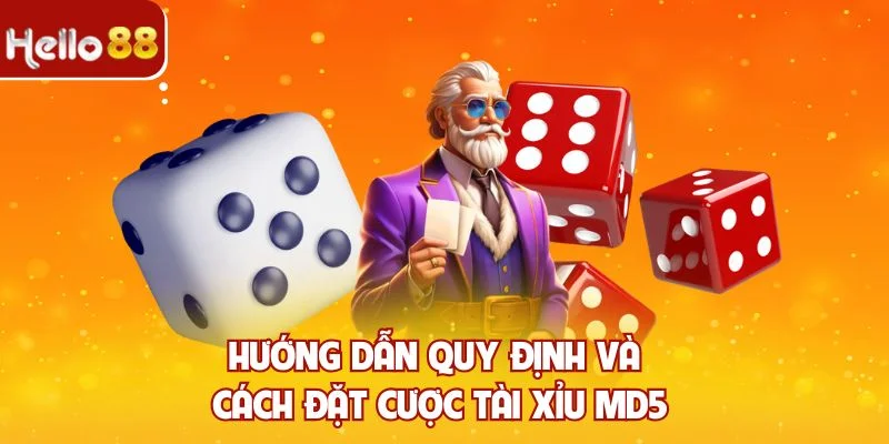 Hướng dẫn quy định và cách đặt cược Tài xỉu MD5