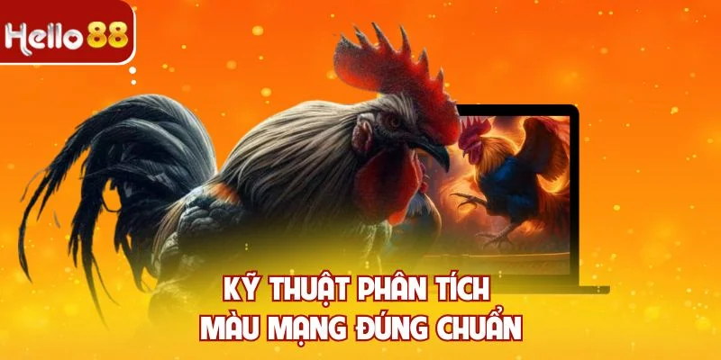 Kỹ thuật phân tích màu mạng đúng chuẩn