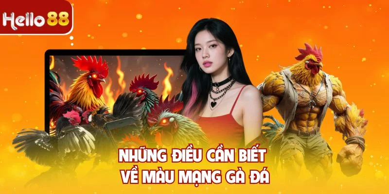 Những điều cần biết về màu mạng gà đá